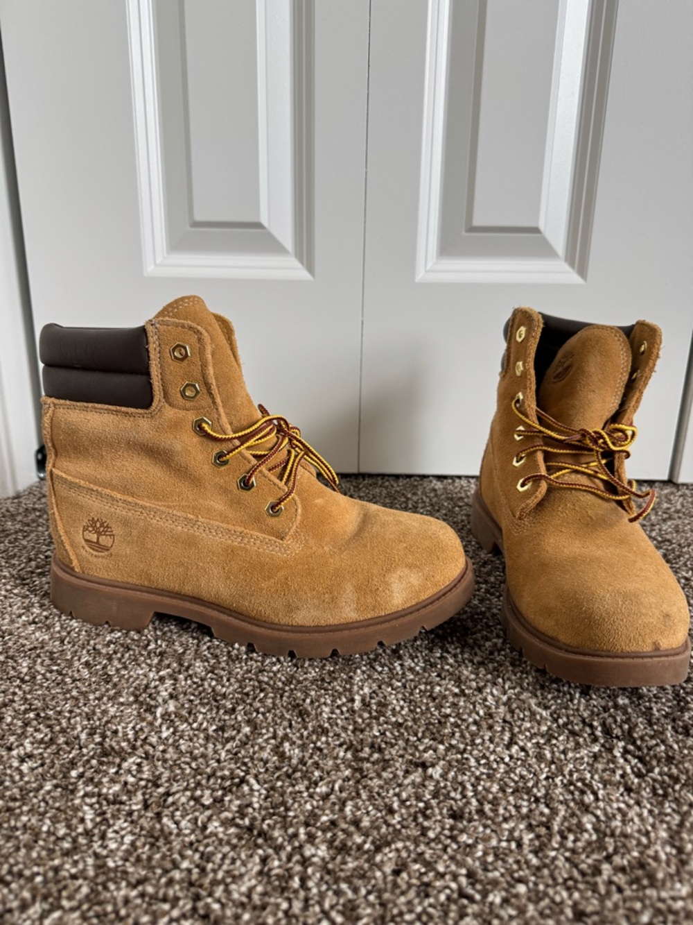 Timberland Boots- size 8, Never Worn